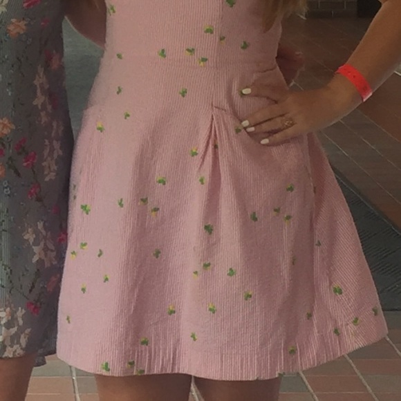 Lilly Pulitzer Seersucker Dress - Picture 4 of 4
